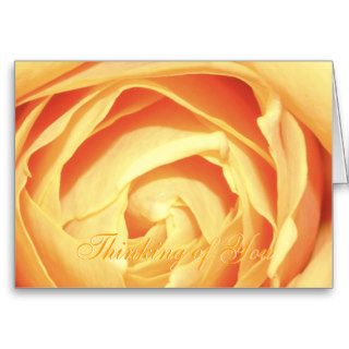 Thinking of You   Rose Greeting Card