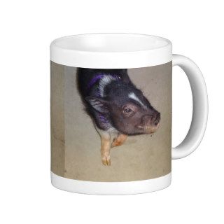 Funny Pot Bellied Pig Photography Coffee Mug