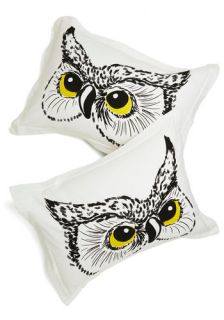 Owl Did You Sleep? Pillow Sham Set  Mod Retro Vintage Decor Accessories