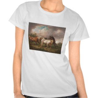 Charles Towne Art Painting Oil Horses Destiny T Shirts