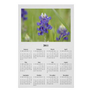 2011 Texas Bluebonnets Yearly Wall Calendar Print
