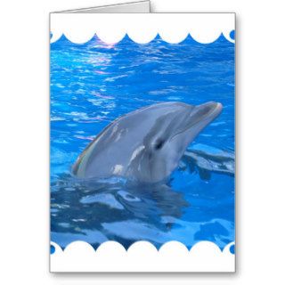 Bottlenose Dolphin Greeting Card