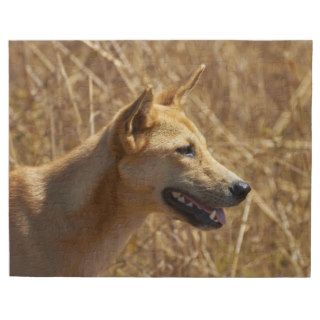 Dingo (Canis lupus dingo) Jigsaw Puzzles
