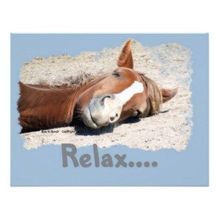Funny Horse Relax Announcements