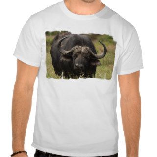 buffalo 15 tee shirt