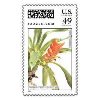 Bromelia Vrisea Postage Stamp