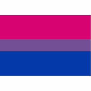 Bisexual Pride Flag Photo Cut Out