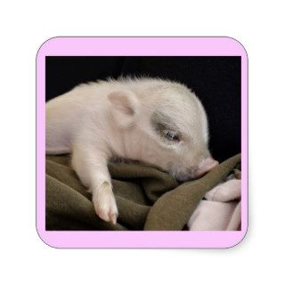 Sleeping Pig Stickers