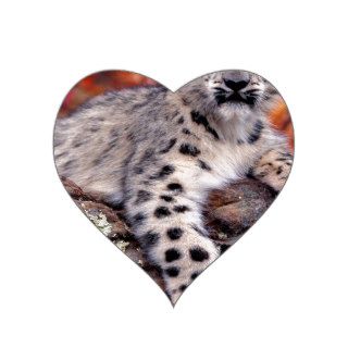 Leopard Snow Heart Stickers