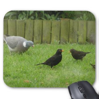 Number Of Birds Feeding On The Green Grass Mousepads