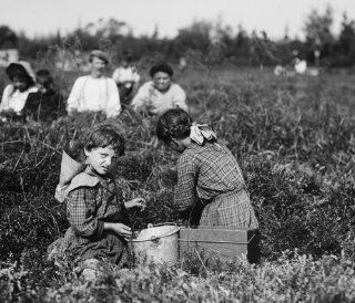 1910 child labor photo Jennie Williams, 1529 Titten St., Philadelphia. 5 year d8  
