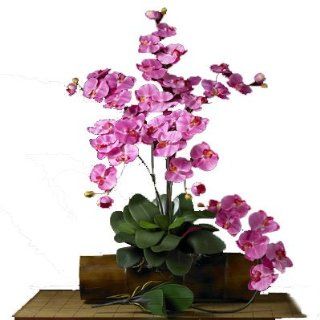 Nearly Natural Phalaenopsis Silk Orchid Flower w/Leaves (6 Stems)   Artificial Flowers