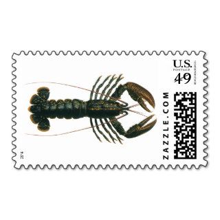 Vintage Marine Ocean Life Crustacean, Lobster Stamps