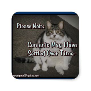 FUN Grumpy Fat Cats With LOL Captions   Label # 63 Square Sticker