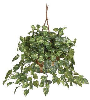 Nearly Natural 6517 Pothos Hanging Basket Decorative Silk Plant, Green   Artificial Plants