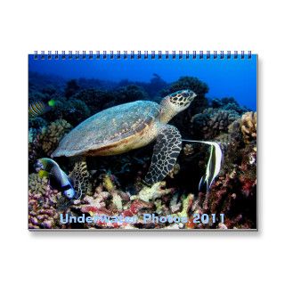 Underwater Photos 2011 Wall Calendars
