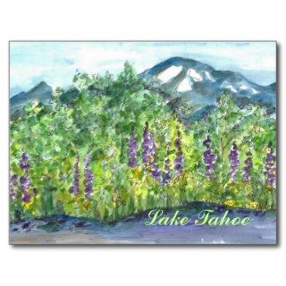 Lake Tahoe Taylor Creek Mt. Tallac Postcard
