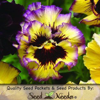 25 Seeds, Pansy "Fizzy Lemonberry" (Viola x wittrockiana) Seeds By Seed Needs  Frilly Pansy  Patio, Lawn & Garden