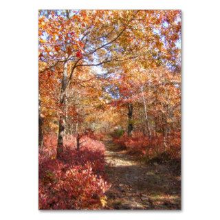 Autumn in New England 27 ~ ATC Business Cards