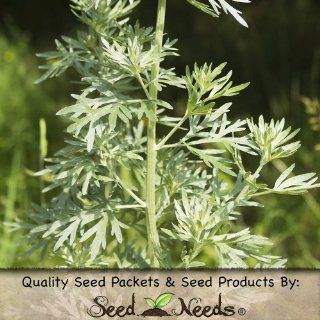 500 Seeds, Wormwood (Artemisis absinthium) Seeds by Seed Needs  Herb Plants  Patio, Lawn & Garden