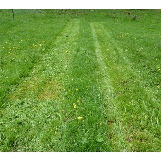 Fiskars 17 Inch Staysharp Push Reel Lawn Mower (6208)  Walk Behind Lawn Mowers  Patio, Lawn & Garden