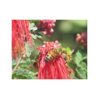 Bees on Pink Flower Gallery Wrapped Canvas