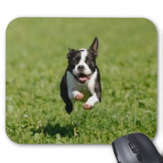 Boston Terrier Running Mousepad