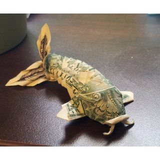 Dollar Origami 10 Origami Projects Including the Amazing Koi Fish Won Park 9781607102816 Books