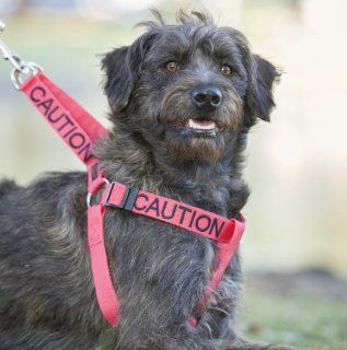 "CAUTION" Red Color Coded Non pull Dog Harness (Do Not Approach) PREVENTS Accidents By Warning Others of Your Dog in Advance  Pet Halter Harnesses 