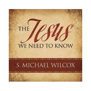 The Jesus We Need to Know S. Michael Wilcox 9781606410653 Books