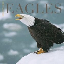 Eagles 2010 Calendar General