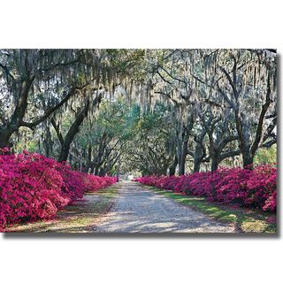 Winthrope Hiers 'Azaleas, Bonaventure' Canvas Art Canvas