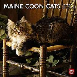 Maine Coon Cats 2012 Calendar (Calendar) General Nature