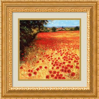 Steve Thoms 'Field of Red and Gold' Framed Art Print Prints