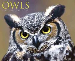 Owls 2011 Calendar (Calendar) General