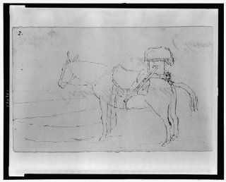 Mule loaded with large pack, William Berryman, Artist   Prints