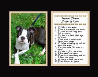 Boston Terrier Property Laws Wall Decor Humorous Pet Dog Saying Gift   Decorative Plaques