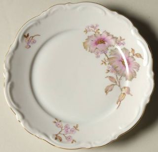 Mitterteich Dogwood Bread & Butter Plate, Fine China Dinnerware   Pink Flowers,