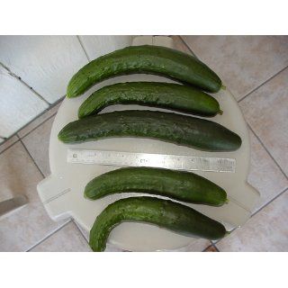 Sweet Success Hybrid Cucumber Seeds   Cucumis Sativus   0.5 Grams   Approx 15 Gardening Seeds   Vegetable Garden Seed   Cucumber Plants