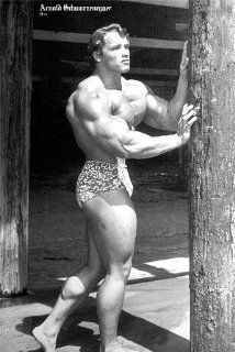 Arnold Schwarzenegger pumped up POSTER 21 x 31 grainy black & white as he looked in 70s (poster sent from USA in PVC pipe)  Home And Garden Products  