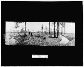 Photo Seven Pines Battlefield 1912   Prints