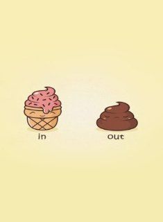 Rectangle Refrigerator Magnet   Funny Humor Ice Cream Cone "In" Pile of Brown Poop "Out"  Other Products  