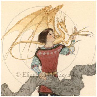 Dragondrums (Harper Hall Trilogy) Anne McCaffrey 9781416964919 Books