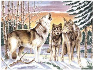 Malen nach Zahlen painting by numbers Wolfsszene Wlfe im Winter Gre 30 cm x 40 cm Mischen erforderlich Küche & Haushalt