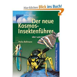 Der neue Kosmos Insektenfhrer Extra Die wichtigsten Spinnentiere Heiko Bellmann Bücher