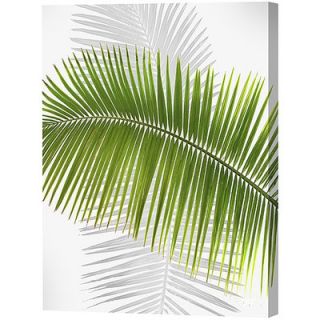 Menaul Fine Art Green Palm Frond Limited Edition Canvas   Scott J
