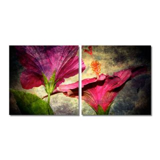 Hibiscus 2 Piece Canvas Wall Art Set