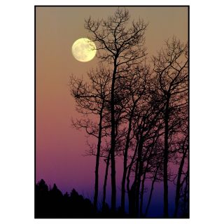 Concord National Geographic Photographic Rugs   Full Moon   Area Rugs