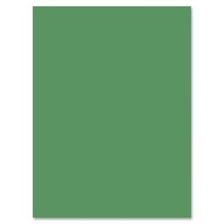 Nature Saver Construction Paper   50/PK   17450356  