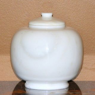 Dome White Medium Pet Urn   Accessories